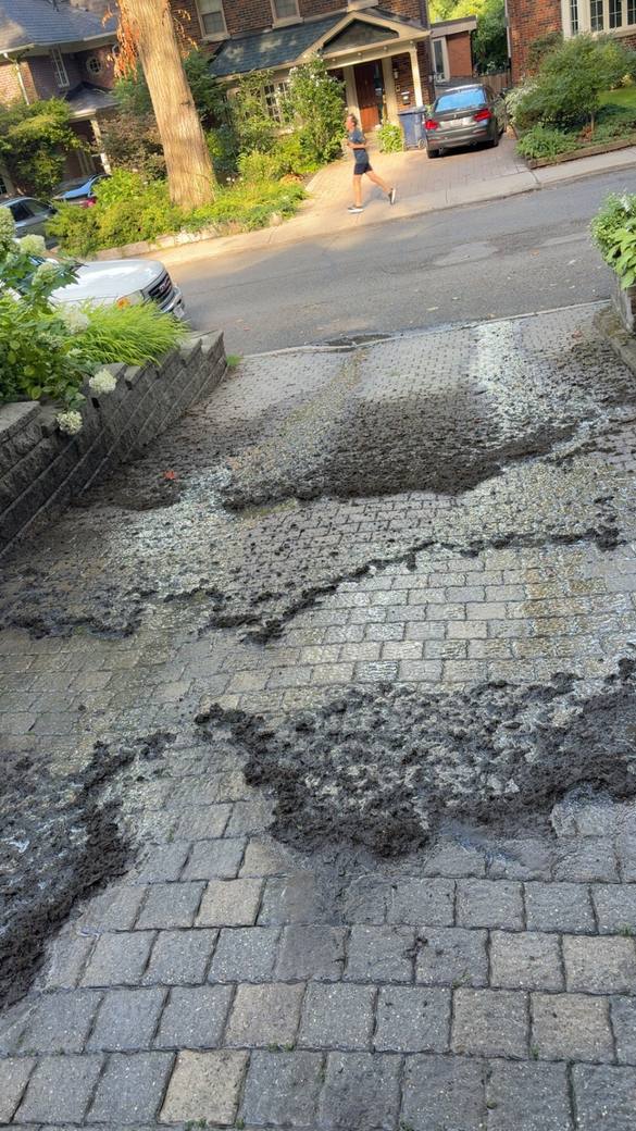 Moss and dirt covering a paver driveway before cleaning