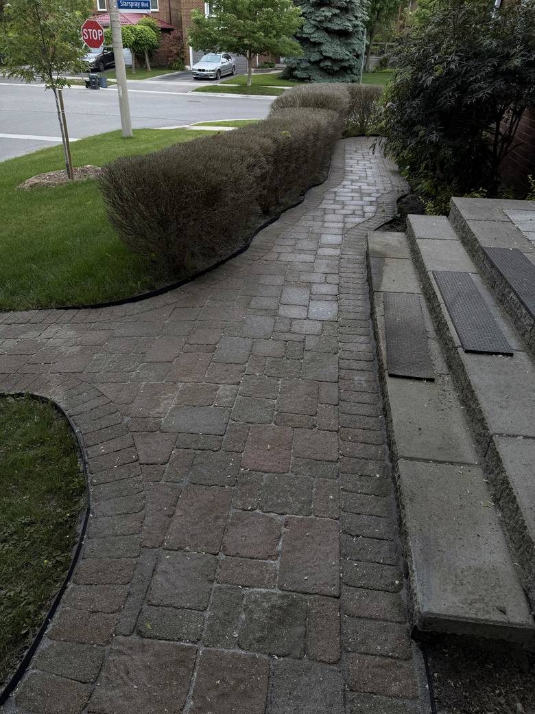 The same paver walkway after pressure washing