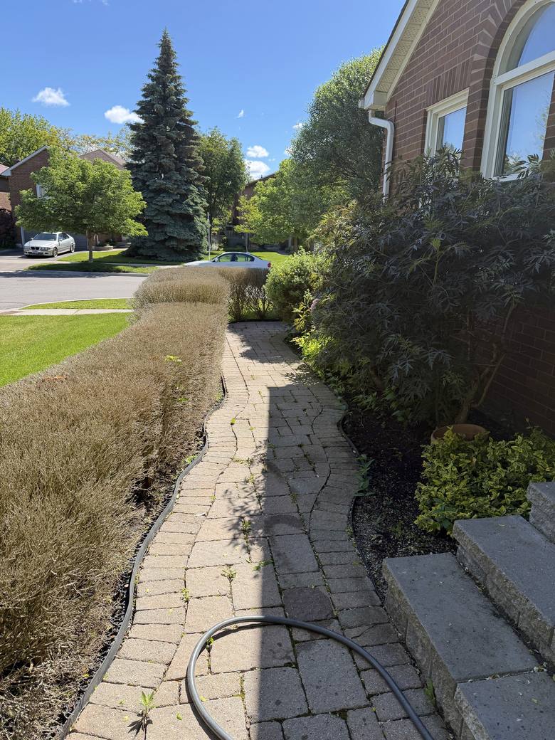Dirty paver walkway before pressure washing