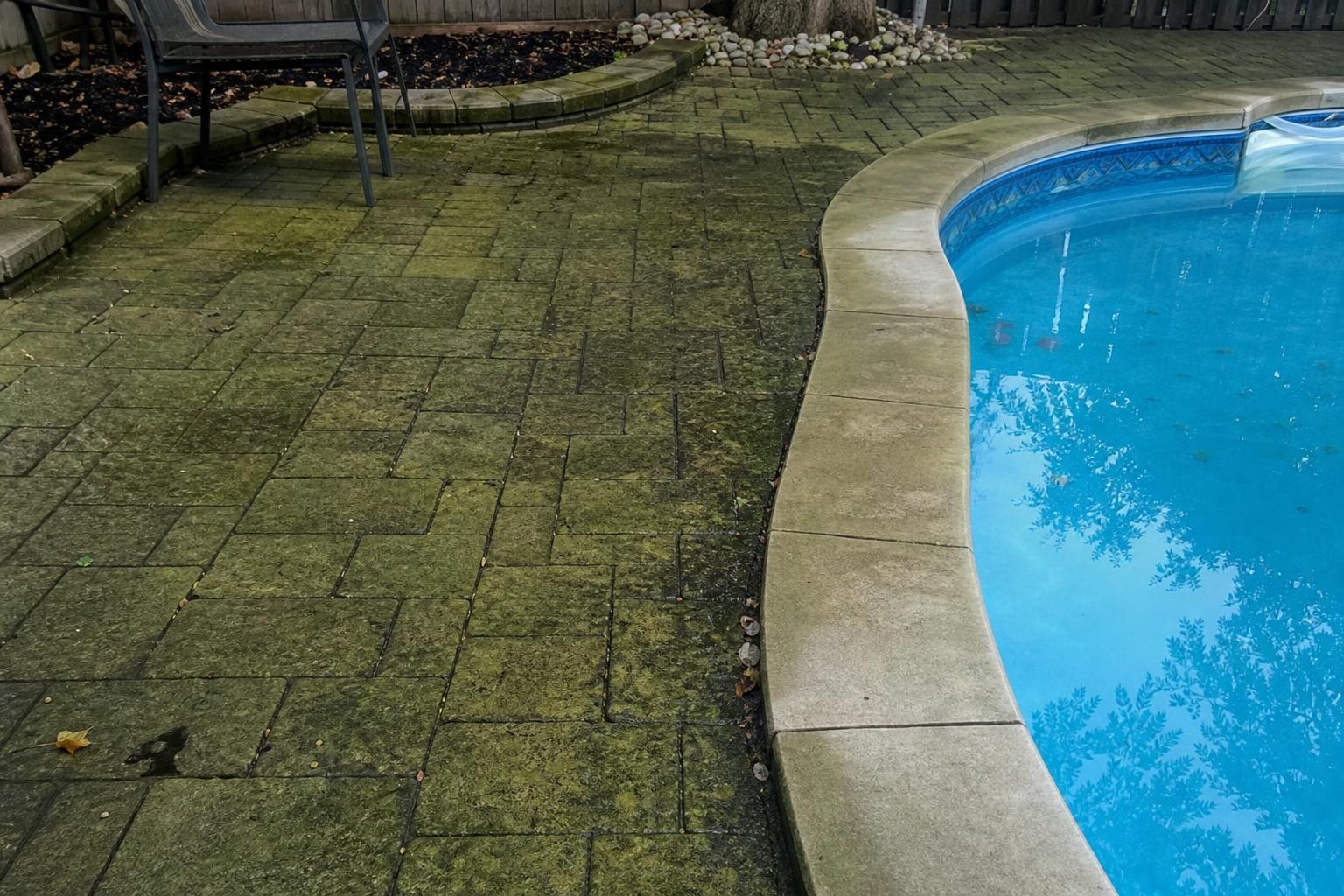 Algae-covered pool surround pavers before cleaning