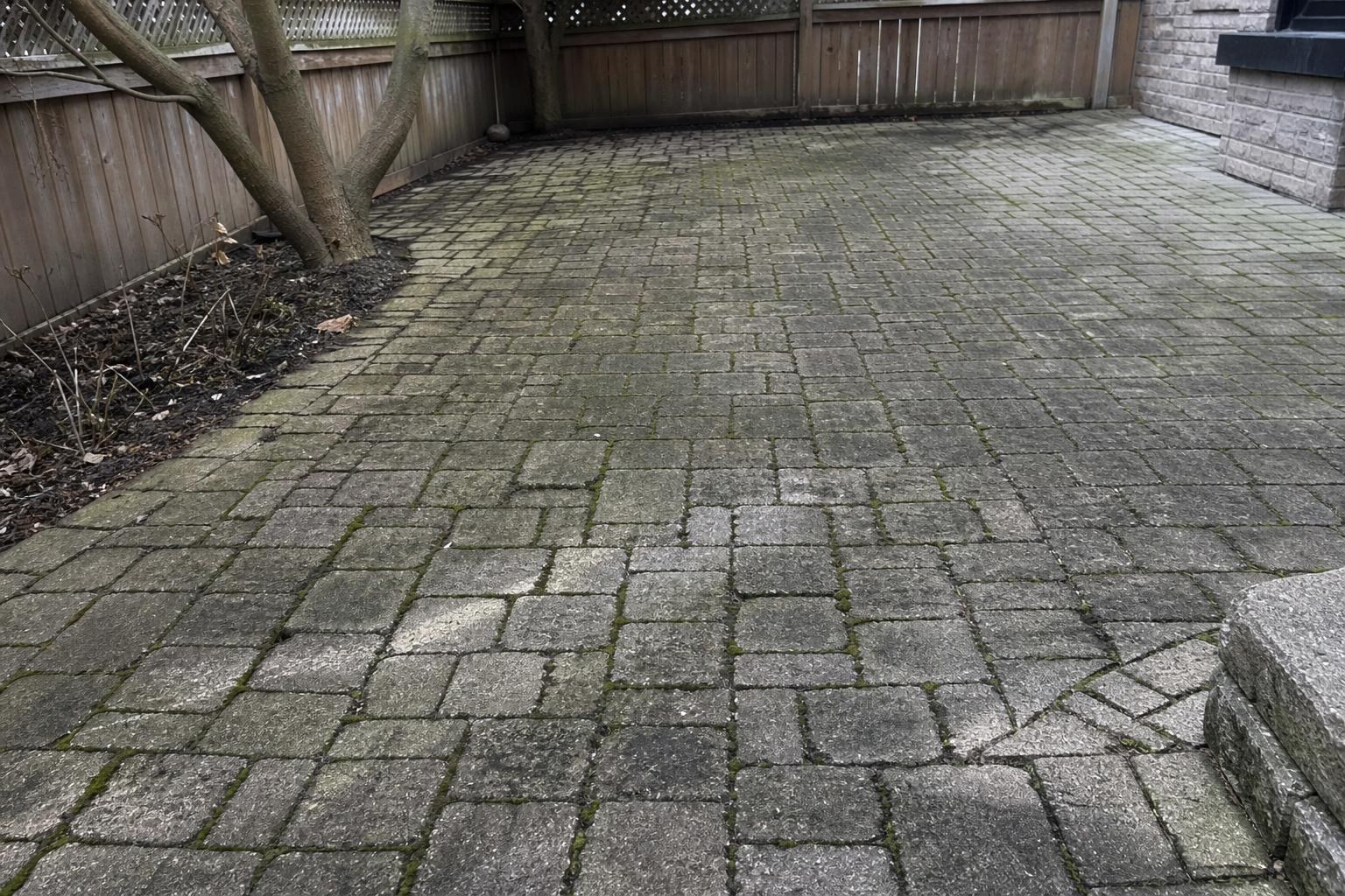Backyard paver patio with moss and algae packed into the joints