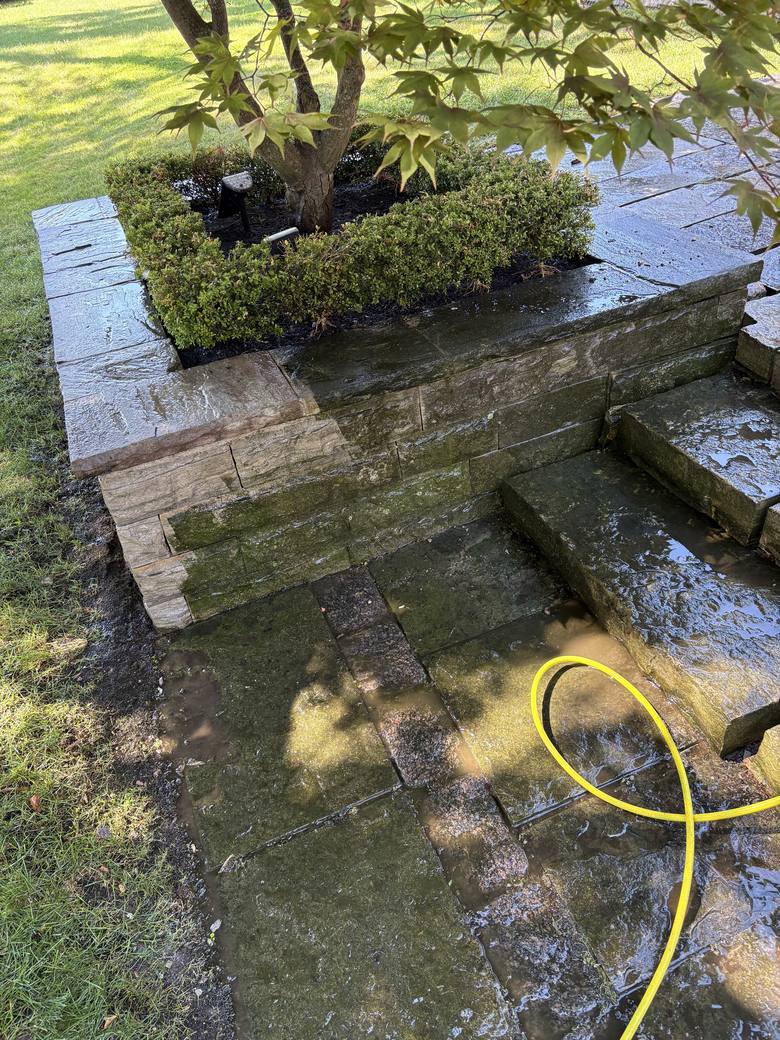 Algae-covered natural stone steps before pressure washing