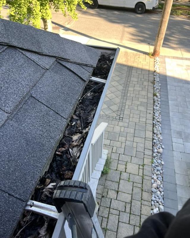 Gutter along a shingle roof packed with debris above a brick paver walkway
