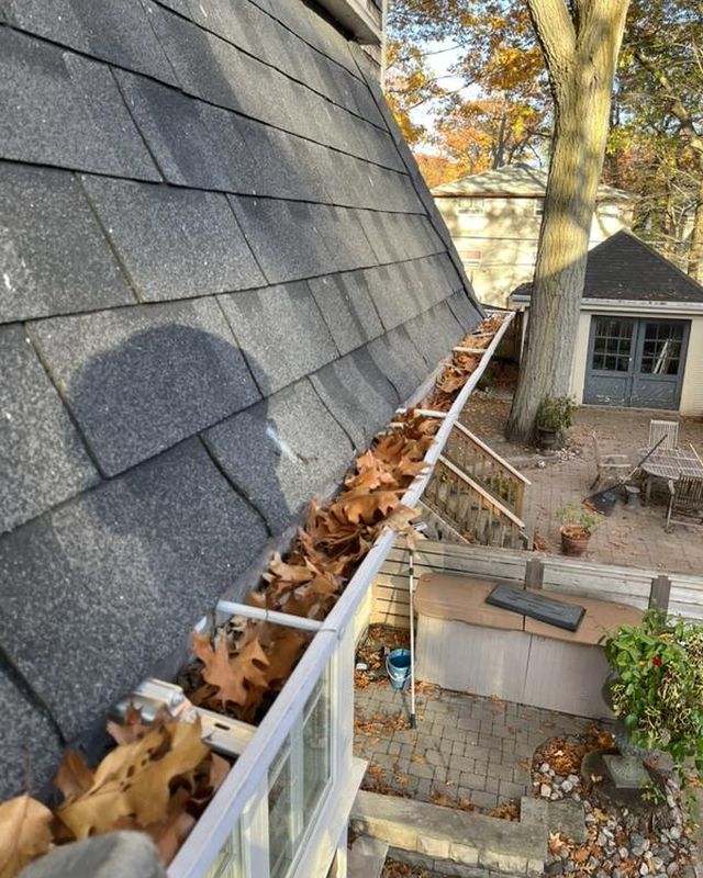 Gutter full of oak leaves on a steep roof above a backyard shed