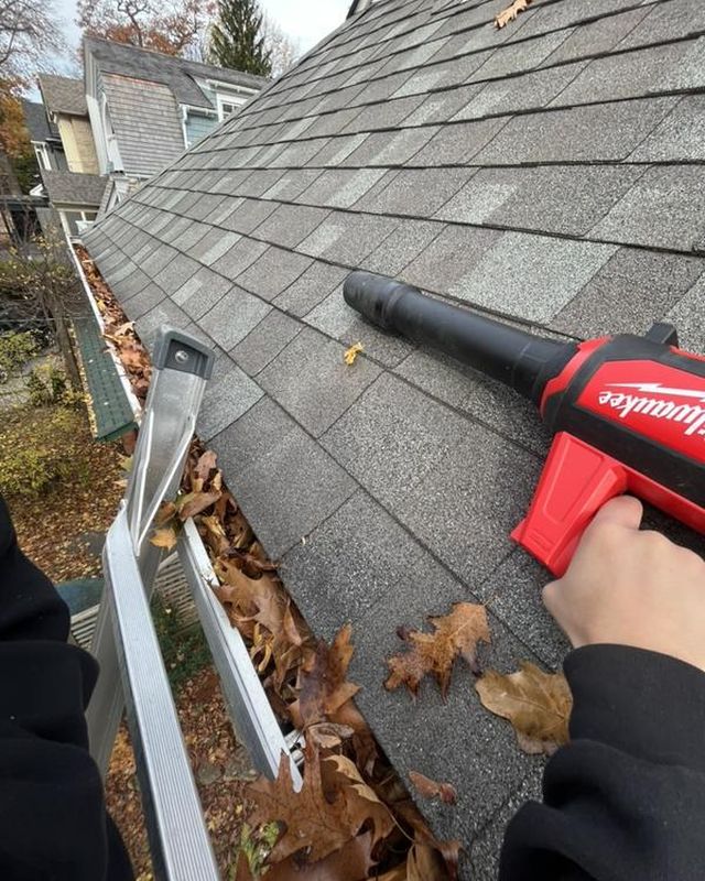 Gutter full of wet leaves with a cordless blower in hand on a shingle roof