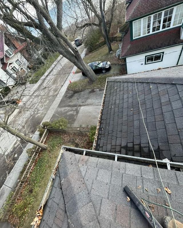 Gutter with leaves on a roof above a laneway, bare trees and neighbouring houses behind