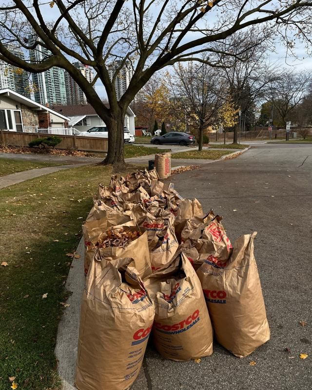 Paper bags of cleared leaves lined up at the curb after the job